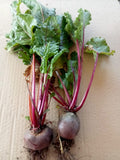 Beetroot