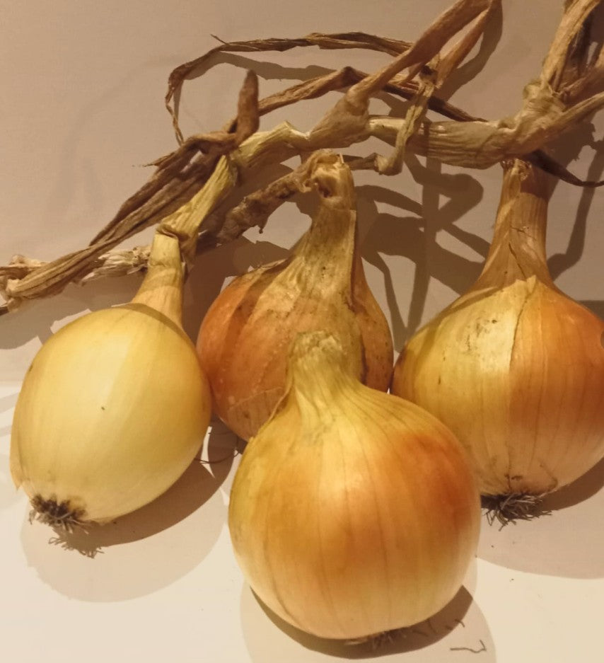 Onion (Sturon) 500gr
