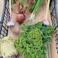 Seasonal Organic Veg Box (20% off)